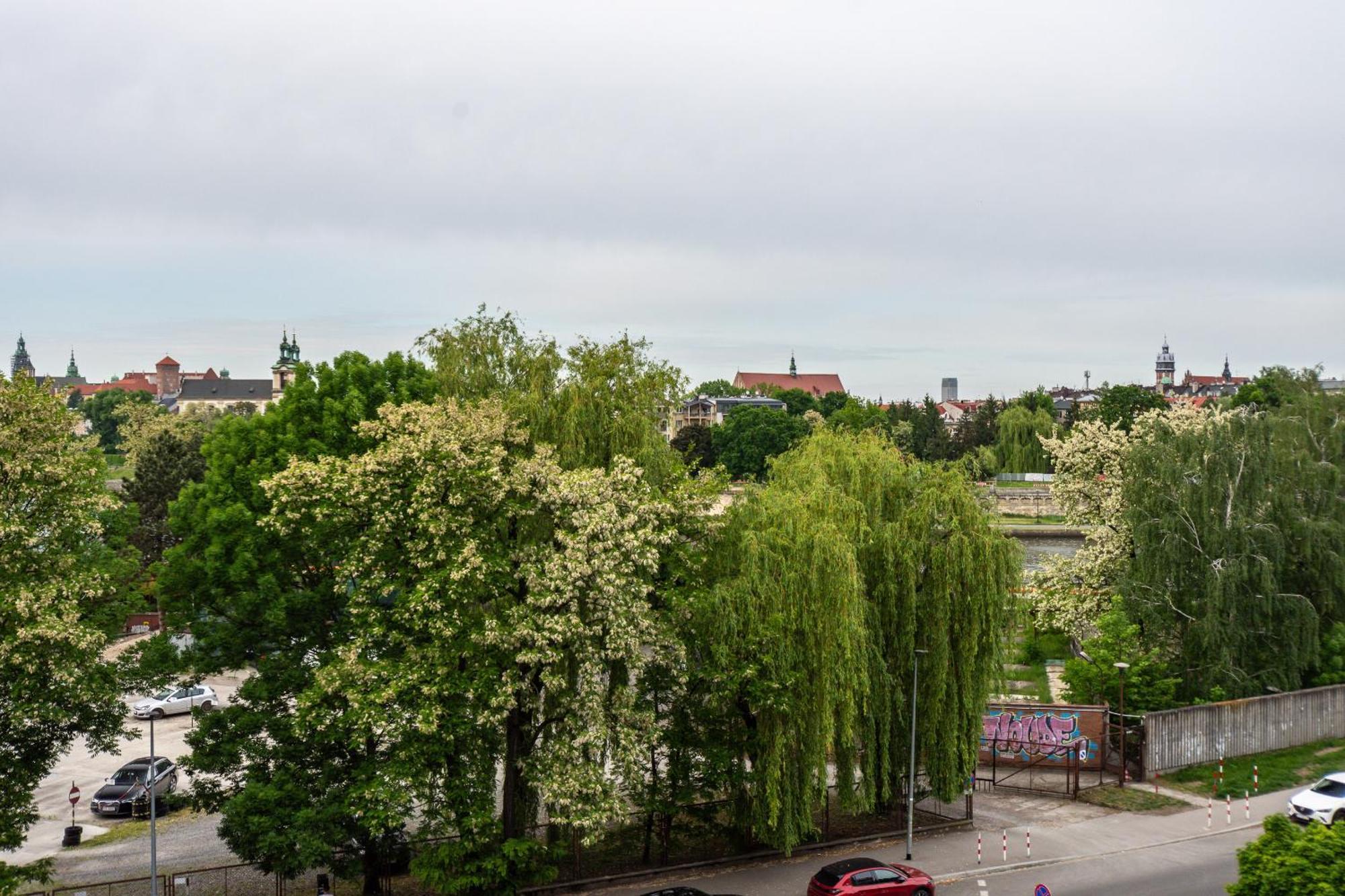 3D Ludwinowska 11 Apartman Krakkó Kültér fotó