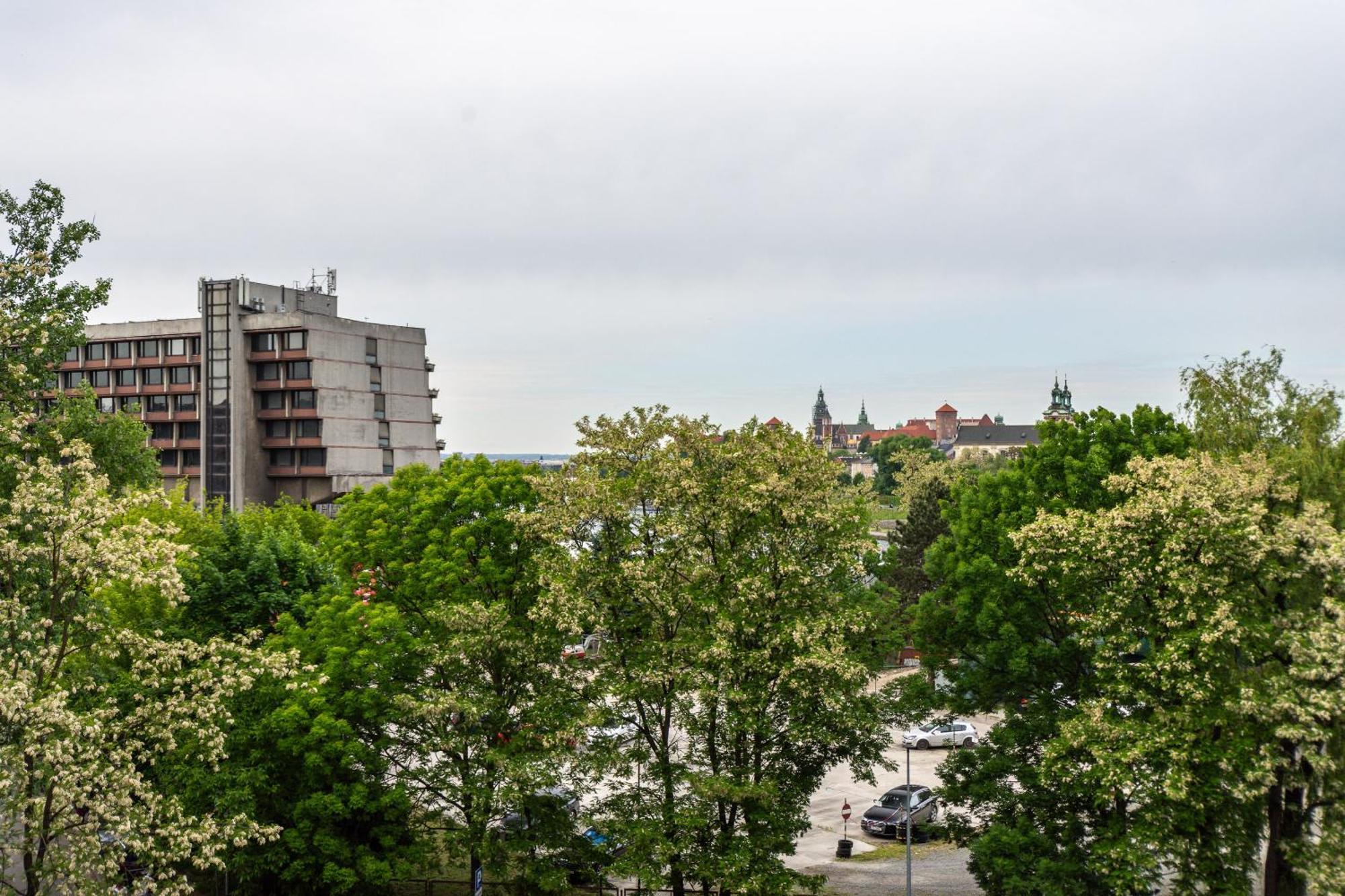 3D Ludwinowska 11 Apartman Krakkó Kültér fotó